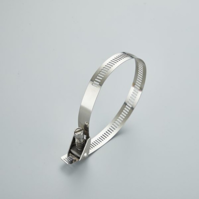 Welchen Standard können Edelstahl-Schlauchschellen erfüllen, um in Personenkraftwagen eingelassen zu werden?